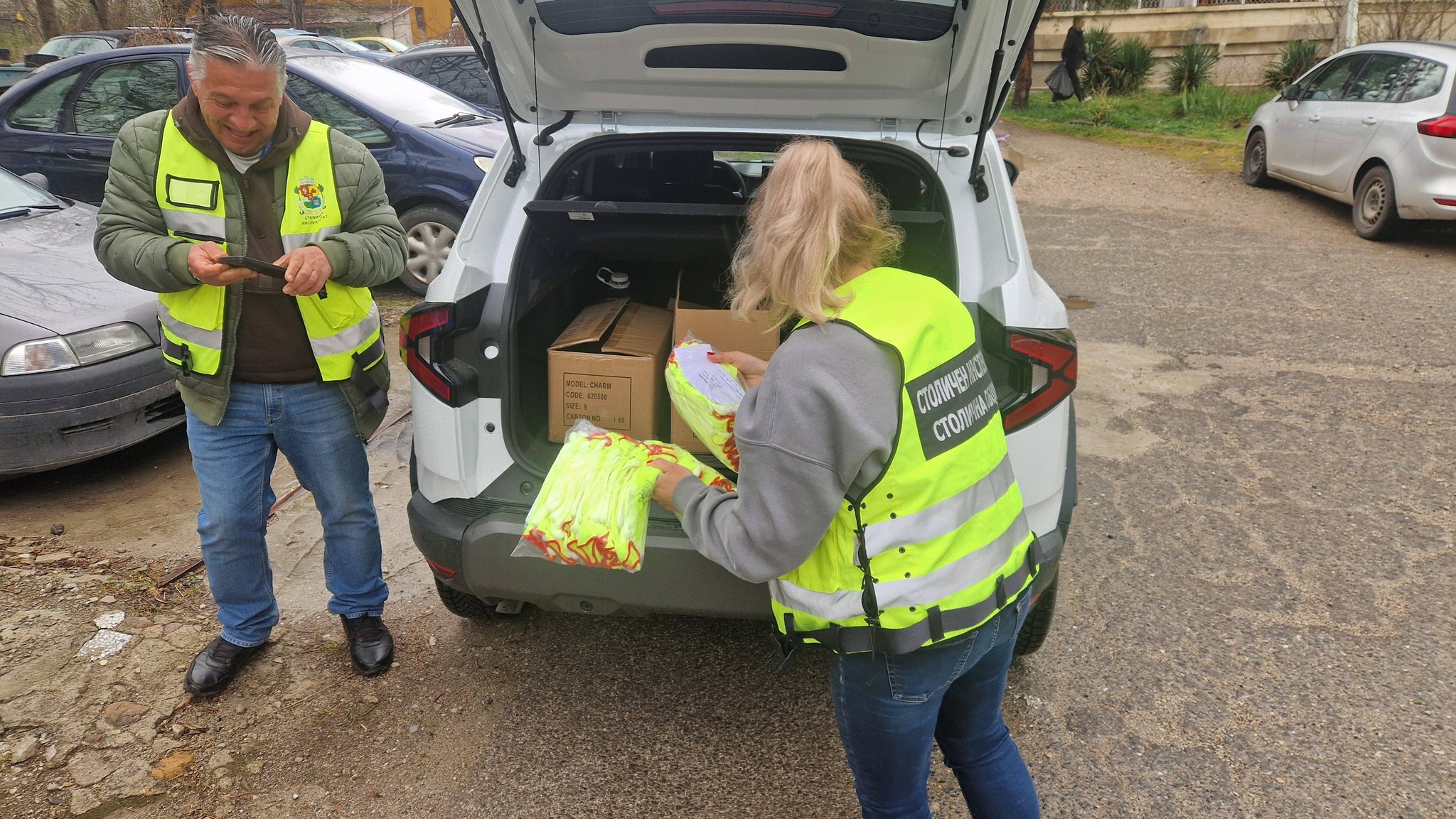 пролетно почистване  (6)