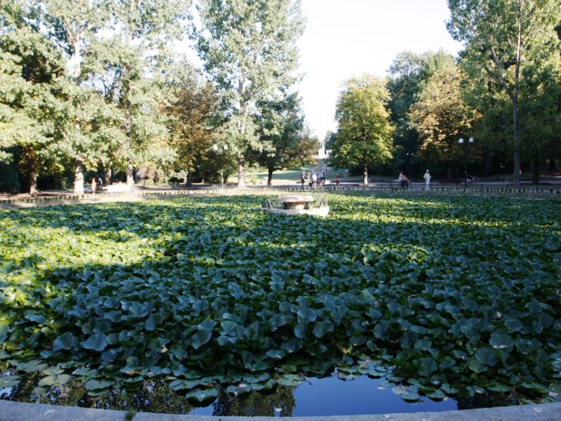 Езерото с лилиите