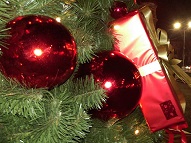 Sofia Municipality's campaign 