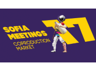 17th Sofia Meetings' Works in Progress